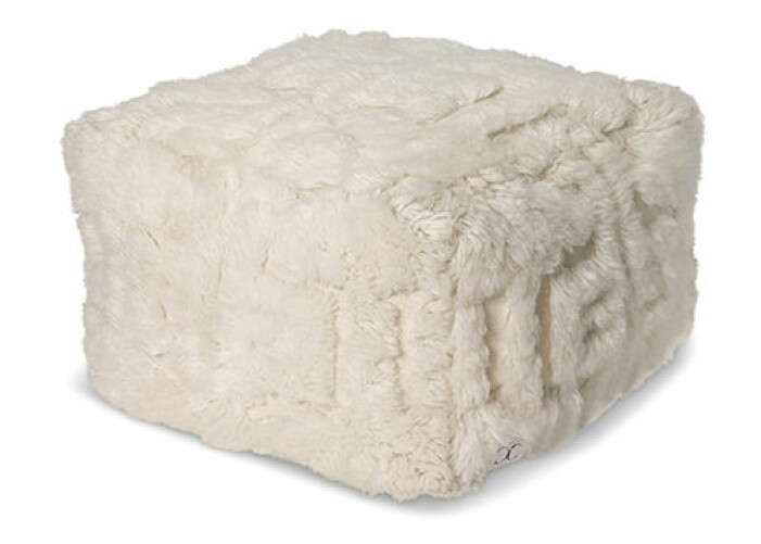 puff teddy