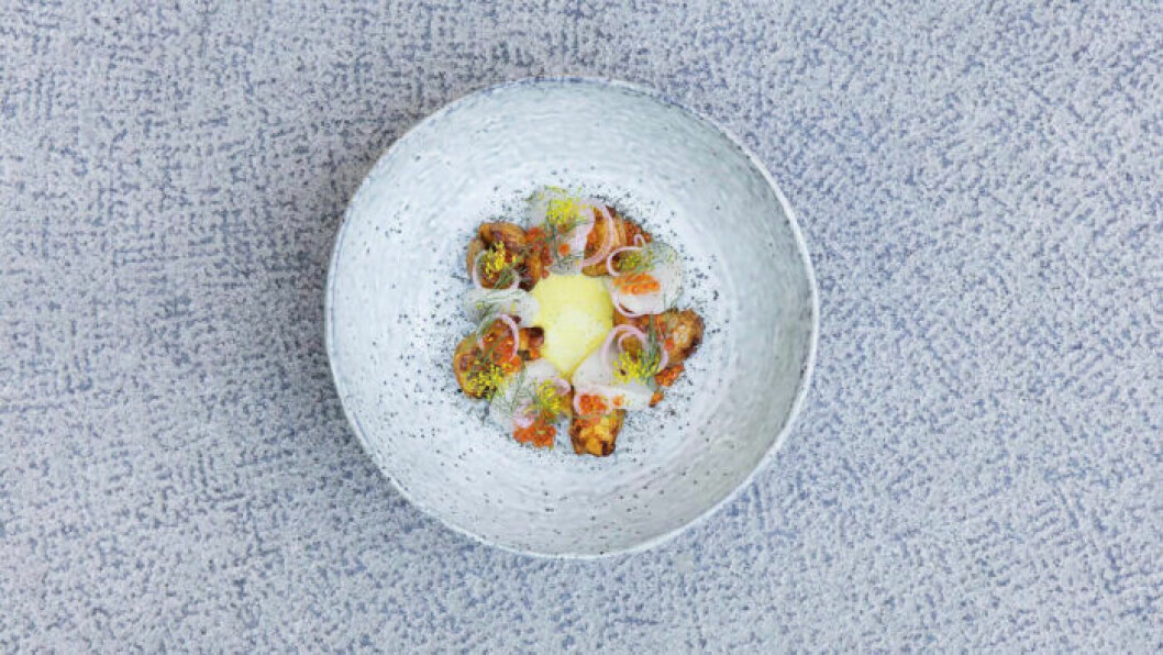 Grön gourmet i slottsmiljö… Råkokå i Stockholm