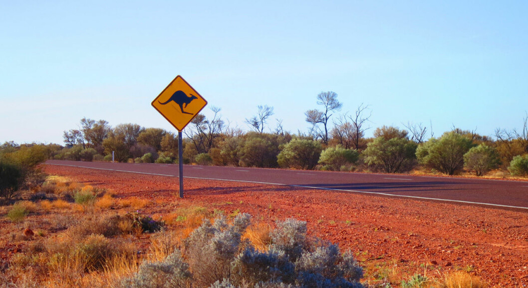Den australiensiska outbacken bjuder på både tystnad och äventyr. Australiensiska outbacken