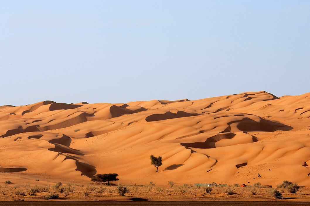 Wahiba Sands i Oman. Wahiba Sands i Oman.