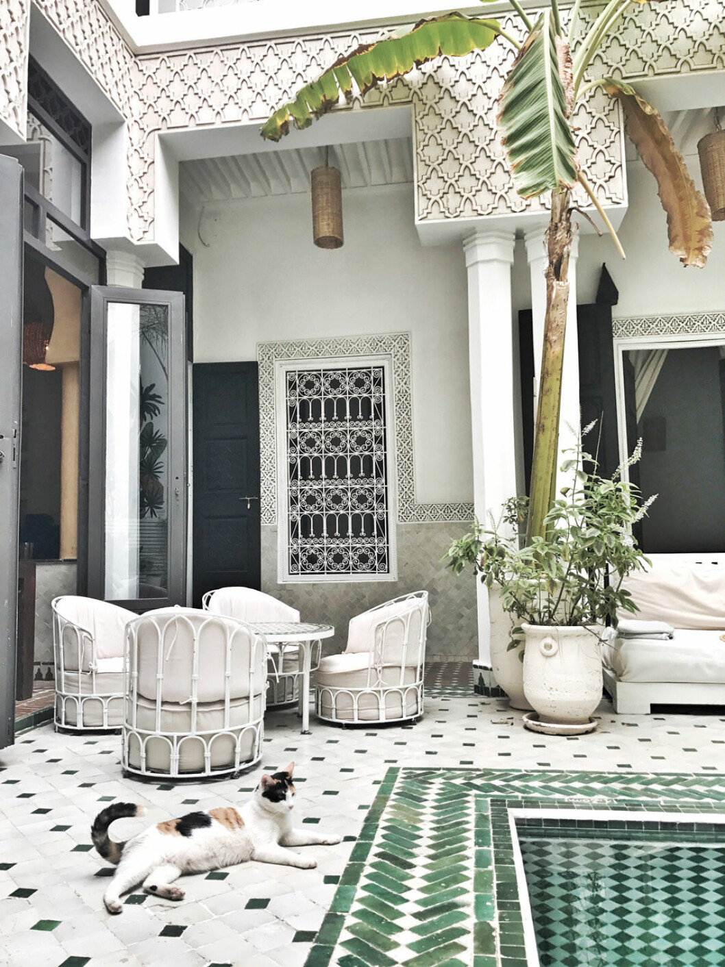 Le Riad Yasmine - ett marockanskt hus eller palats med en innergård som erbjuder avskildhet och svalka