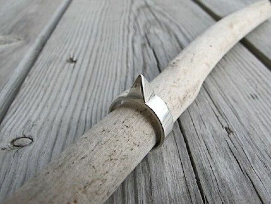 Ring i silver, 860 kr, Animus
