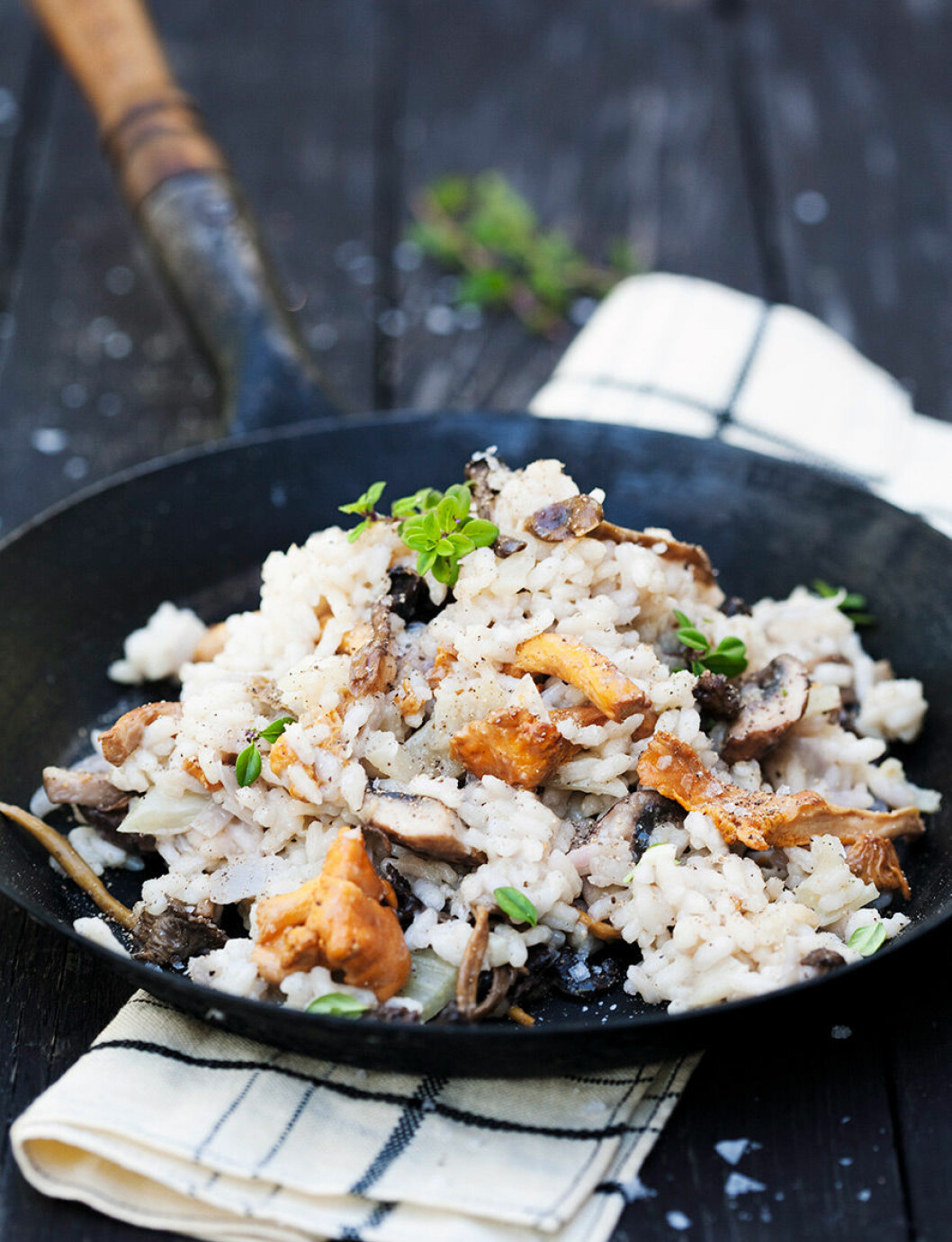 Krämig risotto med skogssvamp och parmesan.