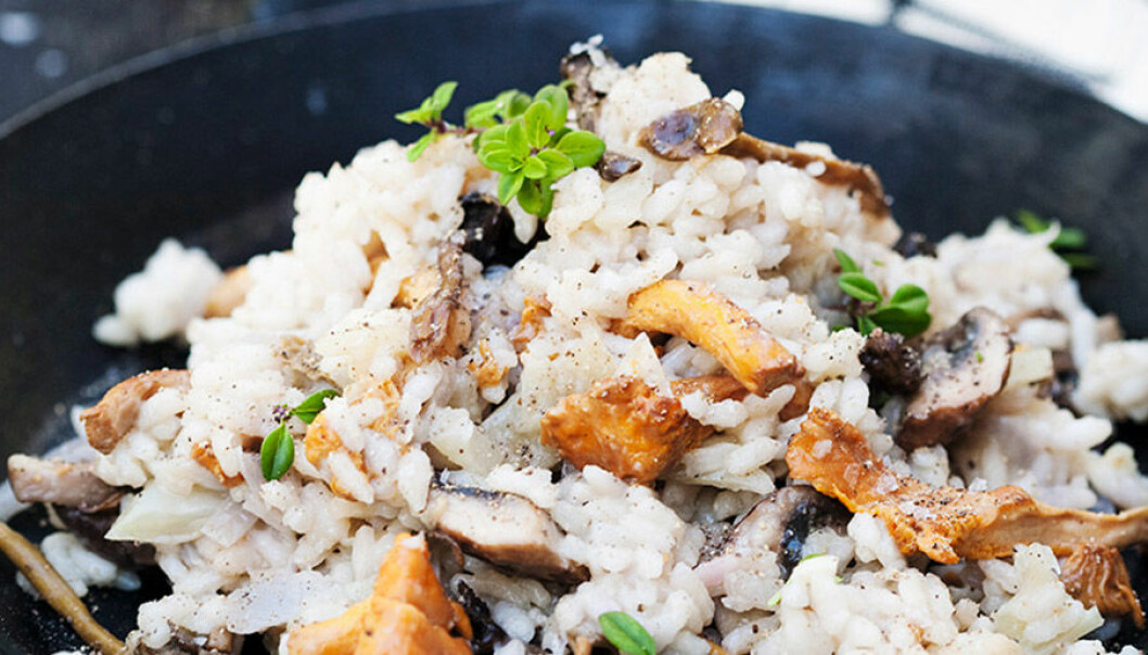 Krämig risotto med skogssvamp och parmesan