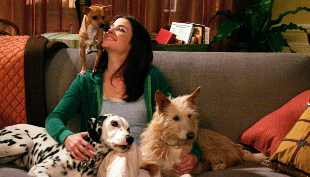 robin i how i met your mother med sina hundar