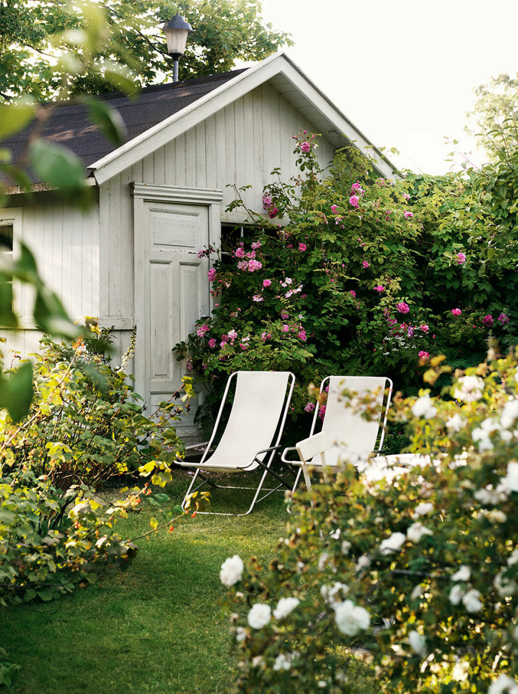 Rosengarden_garden_tradgard_rosor_roses_utemobler_outdoor_furniture_Foto_Petra_Bindel