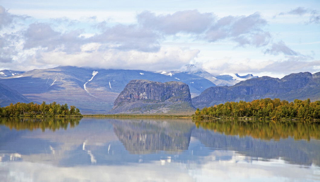 Sarek