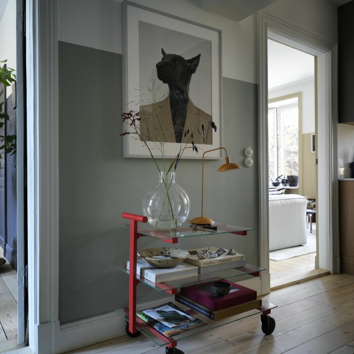 Hemma hos Sasa Antic hall tevagn affisch