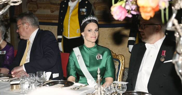 Här ser vi prinsessan Sofia tillsammans med Ukrainas ambassadör Andrii Plakhotniuk under en representationsmiddag på Stockholms slott i början på april i år.