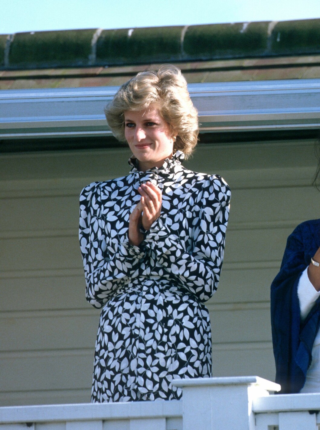 Prinsessan Diana i stilfull klänning