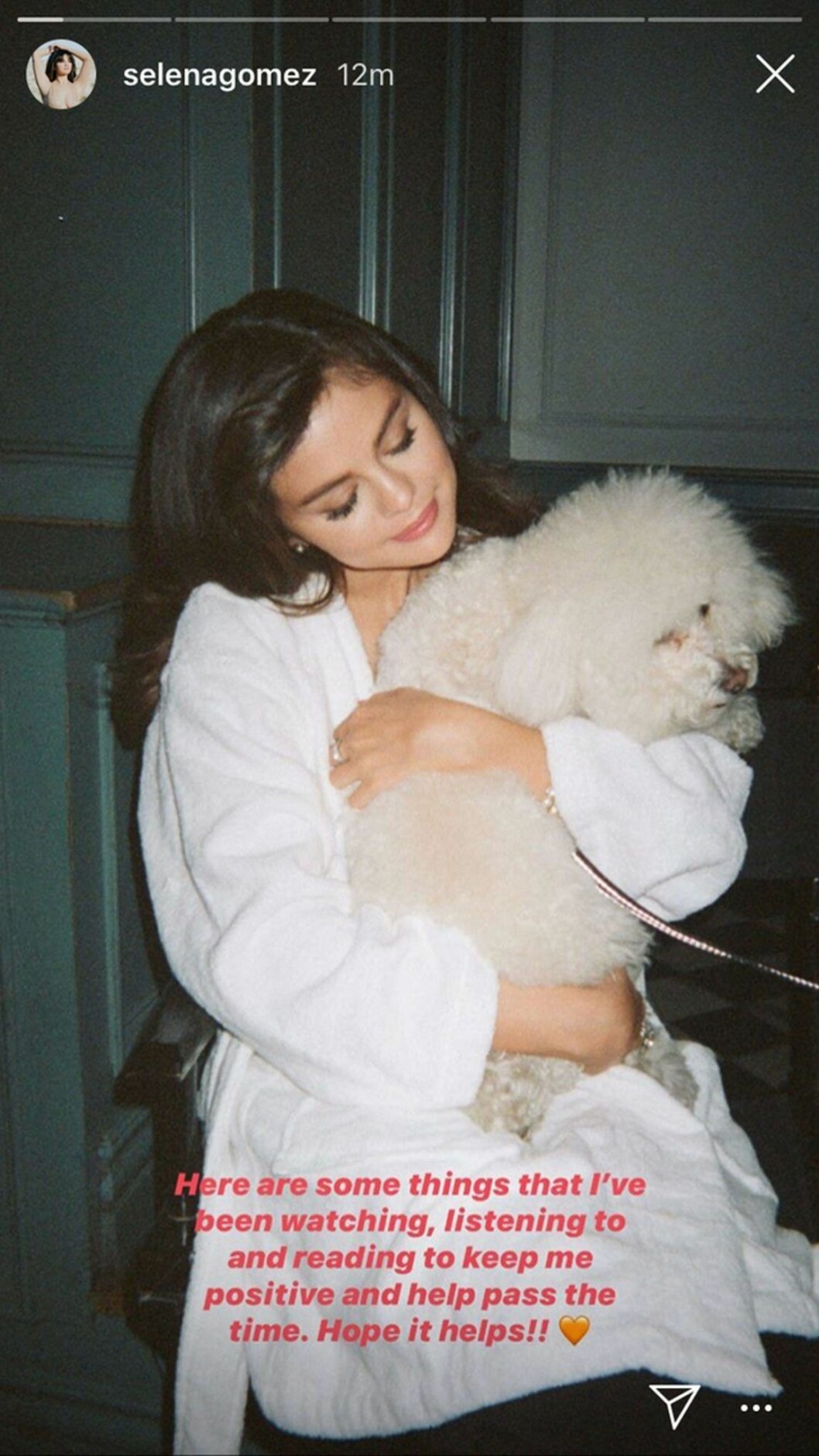 Skärmdump från Selena Gomez Instagram