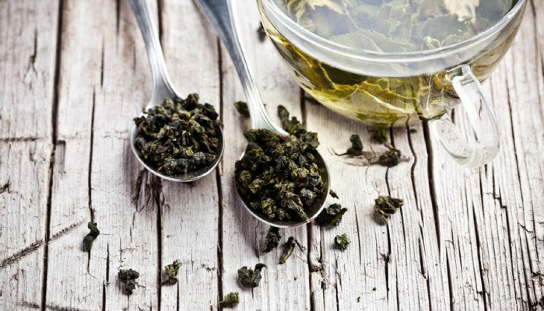 Grönt ekologiskt Sencha Fukuju.