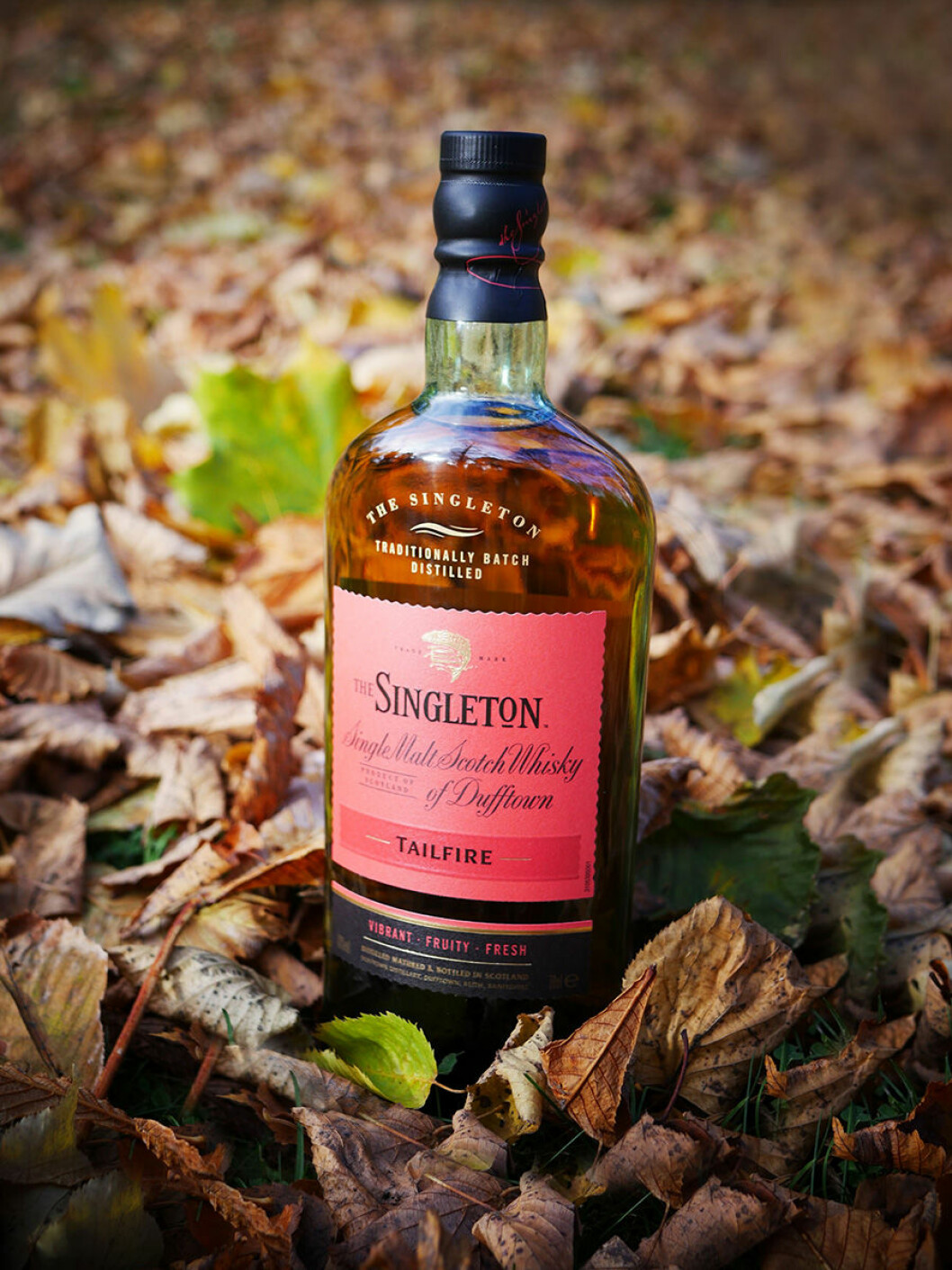  Singleton Tailfire.