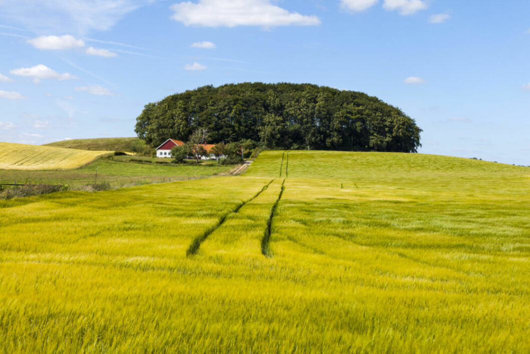 Drömmer du om en Skånelänga som sommarställe?