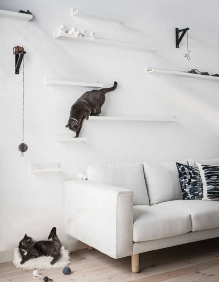 Foto: Ikea. Skapa en klättervägg för katter