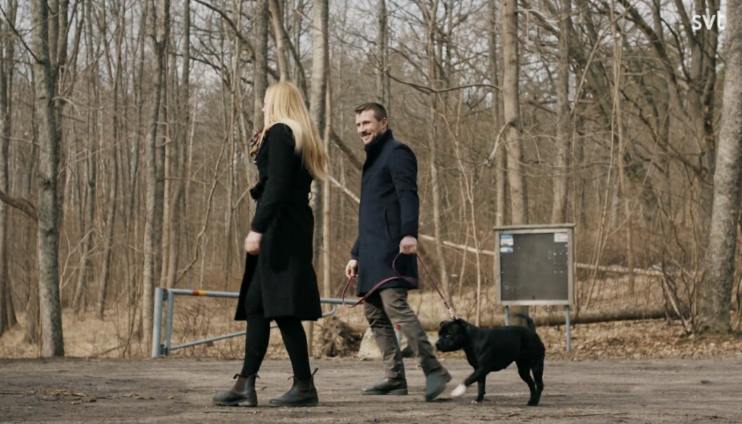 Susanna gav äntligen upp drömmen om en skogshuggarman och hittade då sitt livs kärlek direkt. Gift vid första ögonkastet