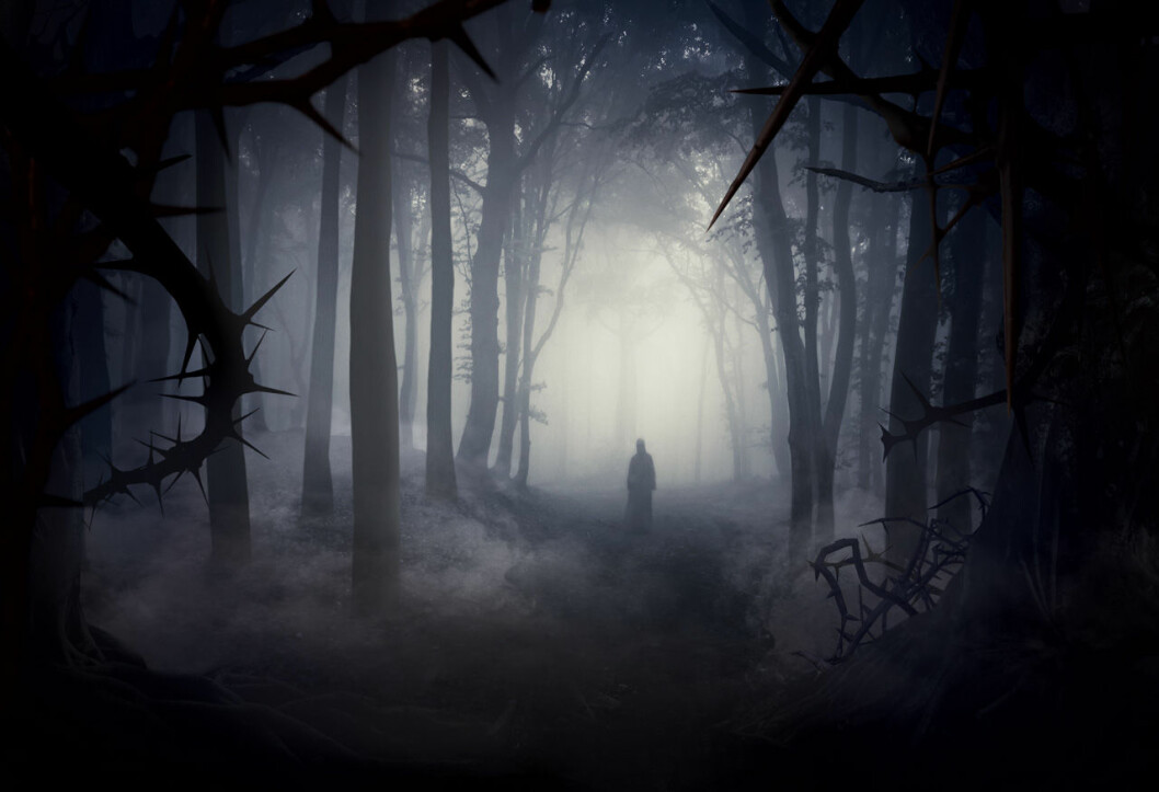 Vilka faror som lurar i skogen återstår att se… Bild från Skogen, årets Halloweennyhet 2019 på Liseberg