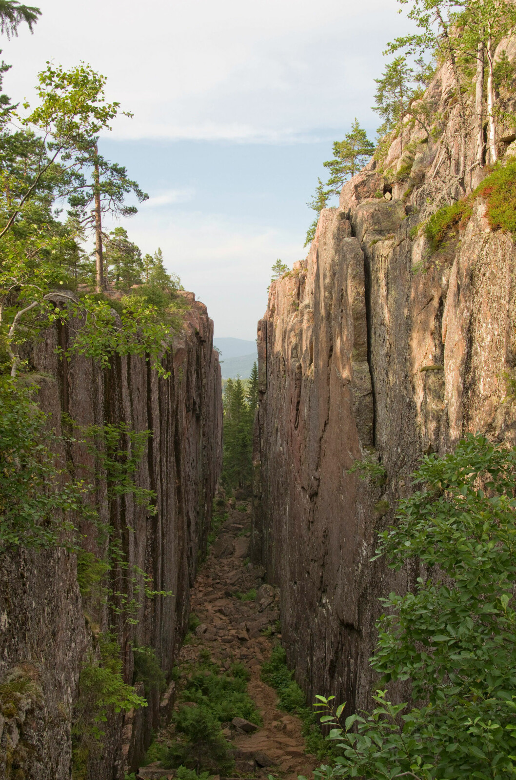 Foto: TT Slåttdalsskrevan i Skuleskogens nationalpark