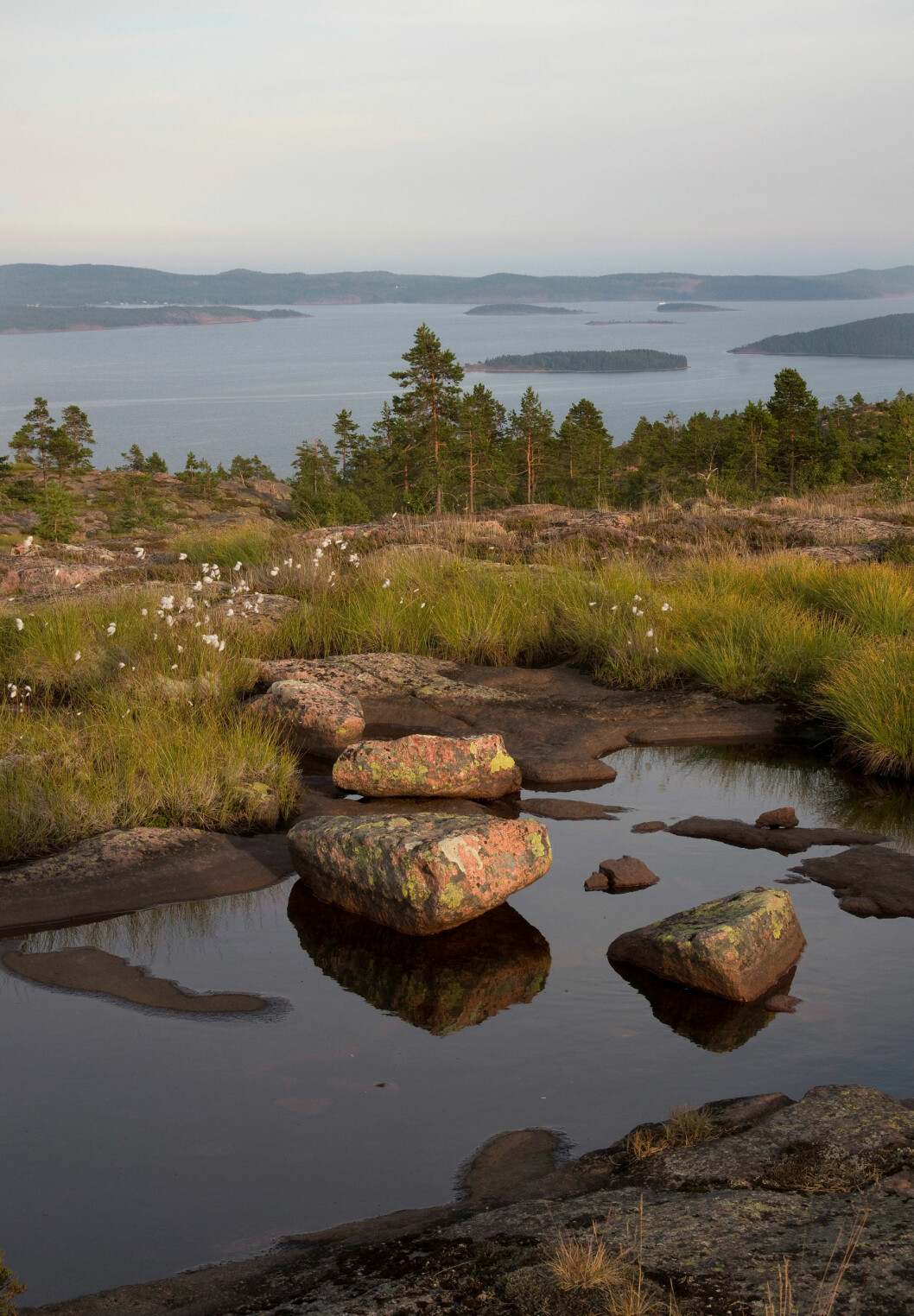 Utsikt från Skulebergets nationalpark
