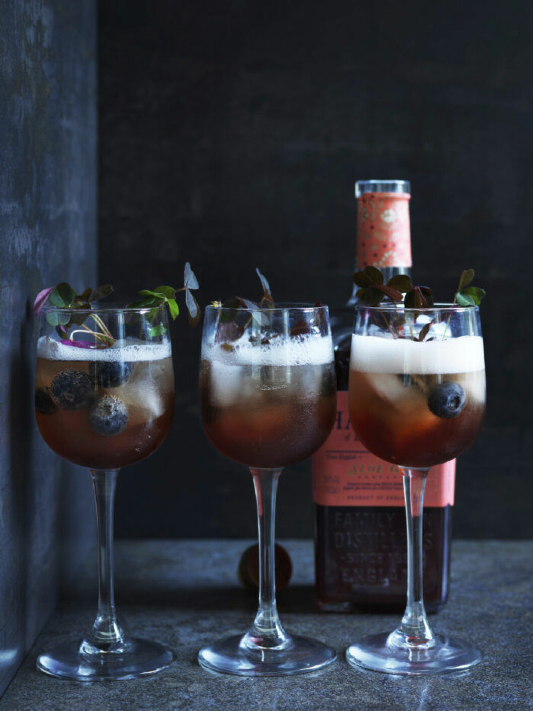 Sloe Gin Spritz. Recept på sloe gin spritz