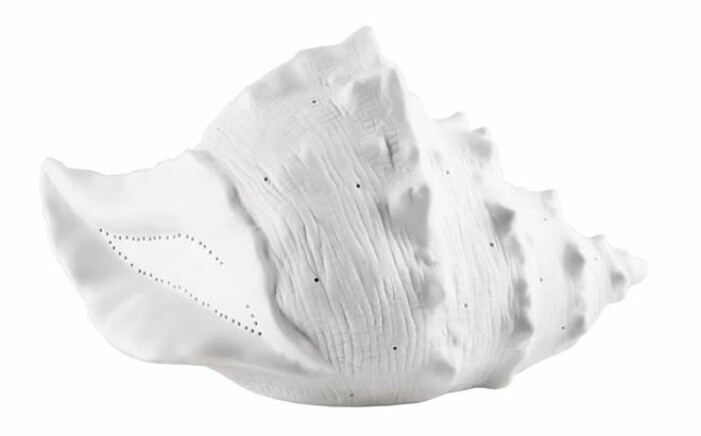 seashell lamp globen lighting