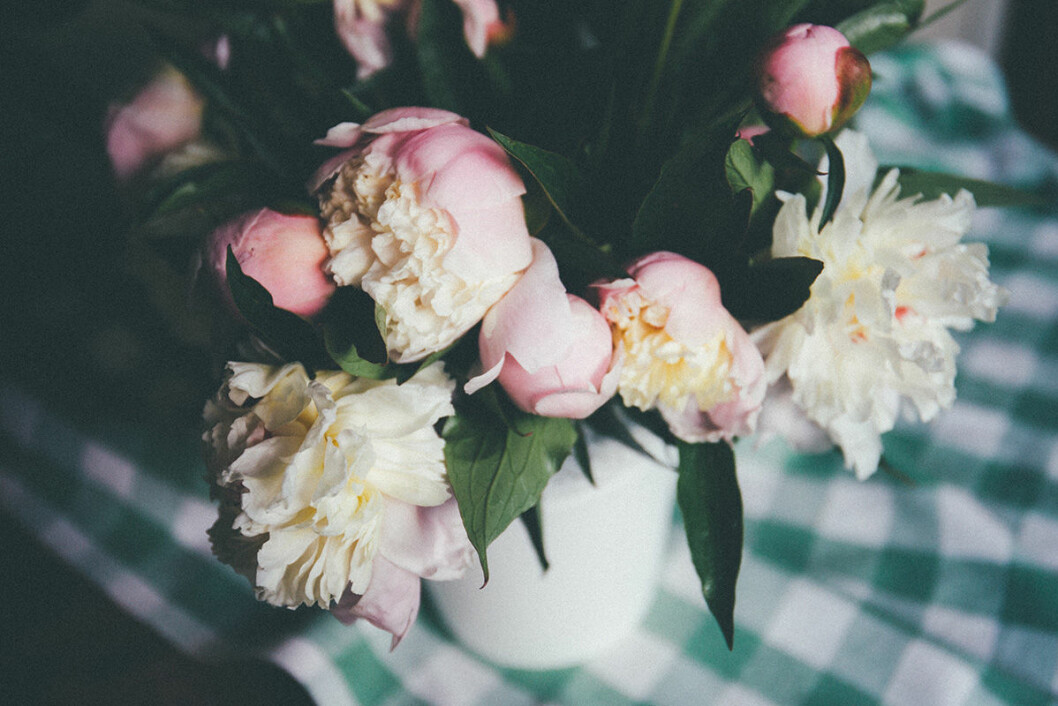 Foto: Unsplash