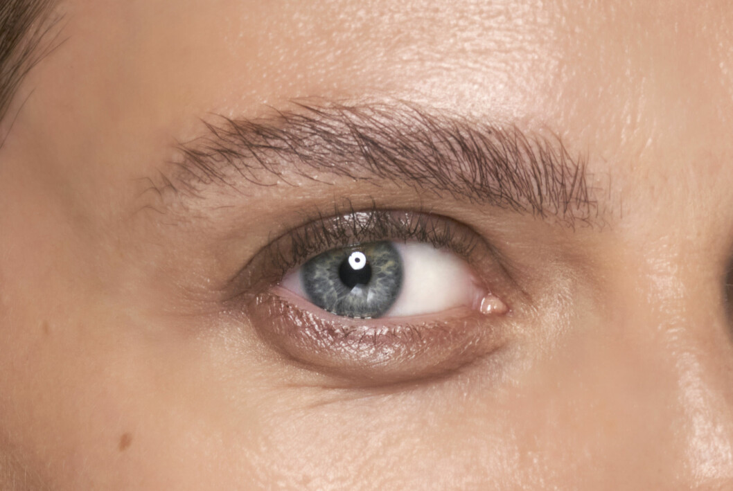 soap brows 2022 bryntrend