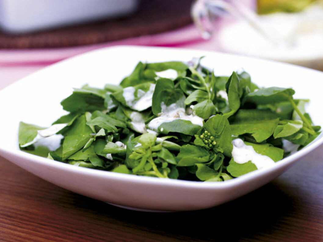 Spenatsallad med chili- och kaprisdressing. Spenatsallad med chili- och kaprisdressing.
