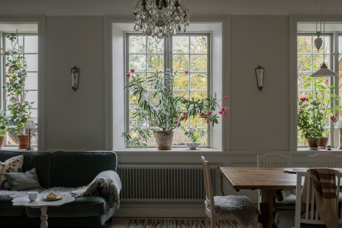 spöjsade fönster vetter mot innergården