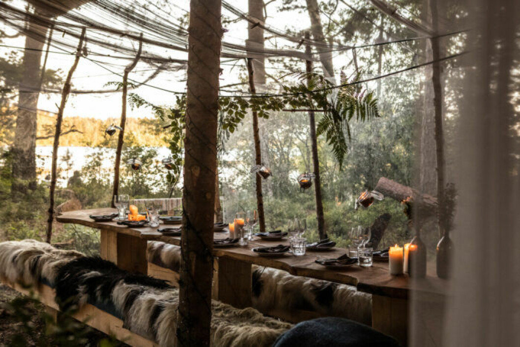 Stedsans in the Woods. Foto: Mike Karlsson Lundgren. Stedsans in the Woods är Årets destination på ELLE Deco Design Awards 2020