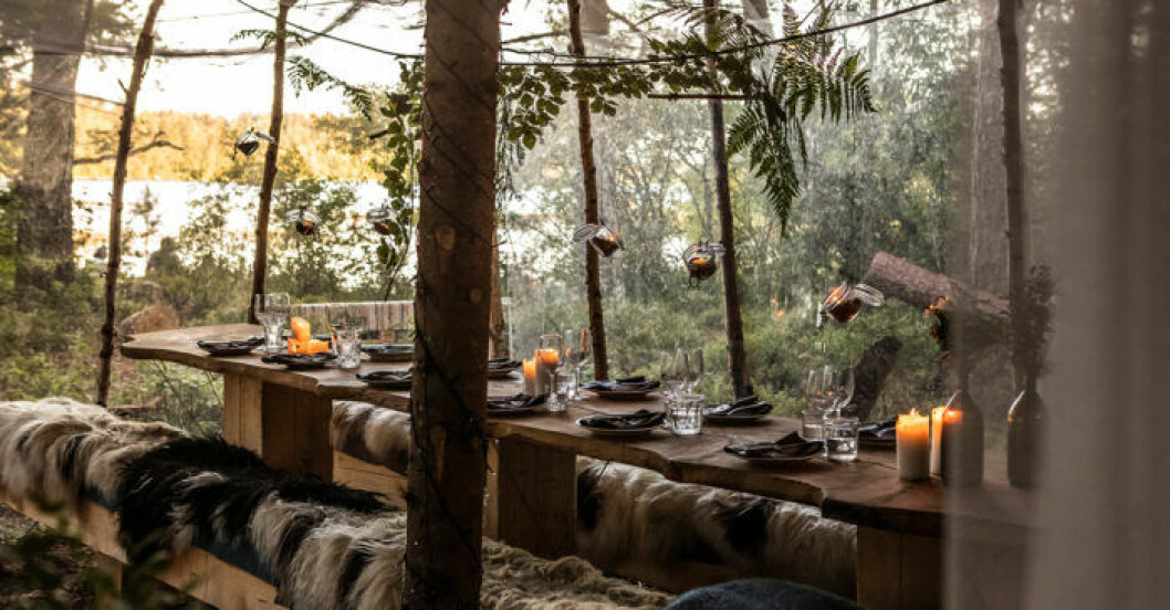 Stedsans in the Woods. Stedsans in the Woods är Årets destination på ELLE Deco Design Awards 2020