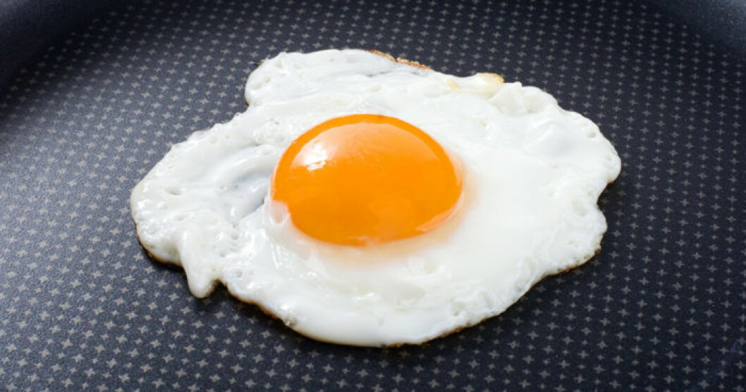 Ett perfekt stekt ägg. Foto: IBL Ett perfekt stekt ägg. Foto: IBL