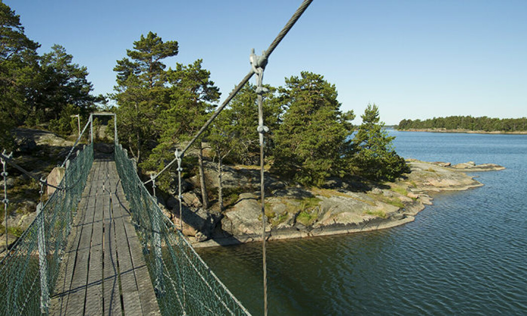 Foto: Mikael Gustafsson/Naturfotograferna/IBL Stendörrens naturreservat – en dagsutflykt från Stockholm