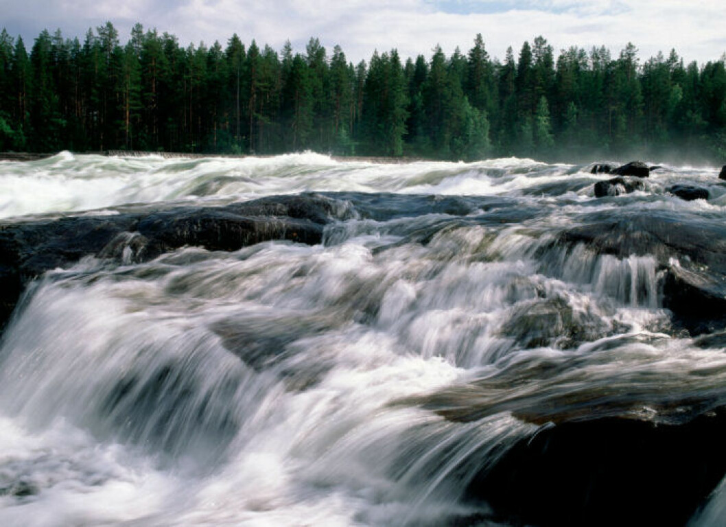 Storforsen, Älvsbyns kommun