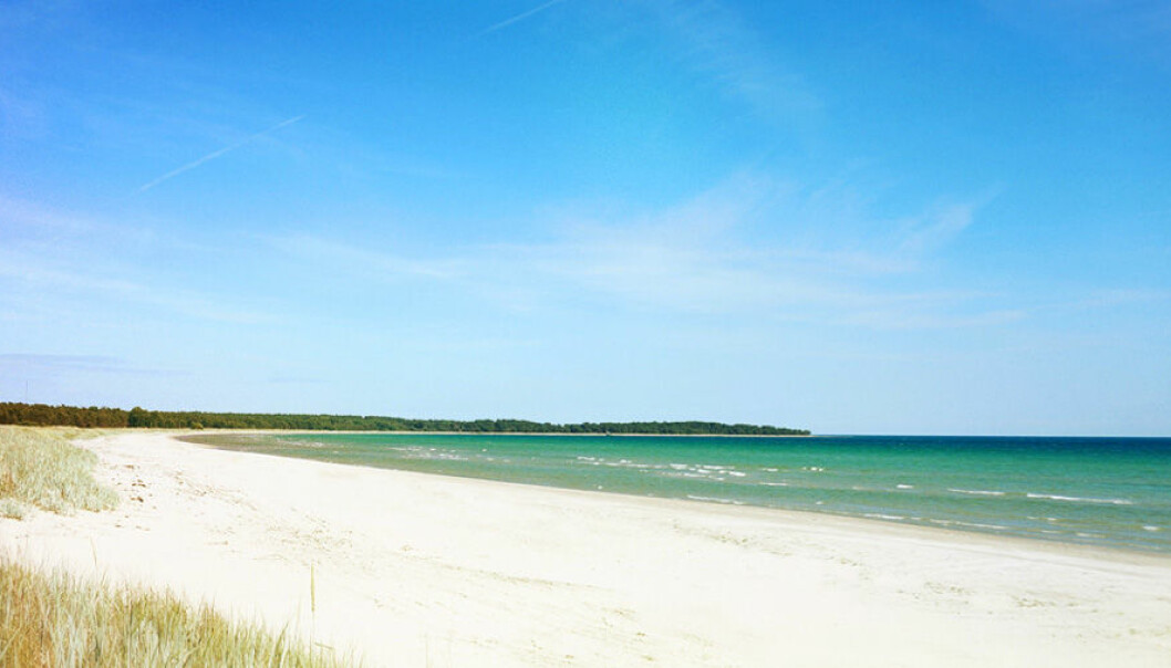 De 7 bästa stränderna att besöka på Gotland i sommar