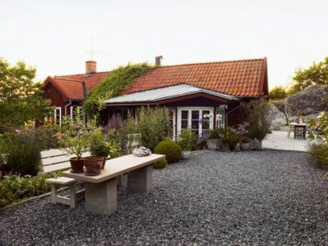 Huset bestod från början bara av rum och kammare men har byggts till i två omgångar för att tillslut bli 90 kvadratmeter. Den rejäla grusplanen aviserar besökare på ett mycket mer sympatiskt sätt än en ringklocka, såväl välkomna som ovälkomna. Till de sistnämnda räknar jag då framför allt rådjuren som inte alls uppskattar grusknaster… Huset bestod från början bara av rum och kammare men har byggts till i två omgångar för att tillslut bli 90 kvadratmeter. Den rejäla grusplanen aviserar besökare på ett mycket mer sympatiskt sätt än en ringklocka, såväl välkomna som ovälkomna. Till de sistnämnda räknar jag då framför allt rådjuren som inte alls uppskattar grusknaster…