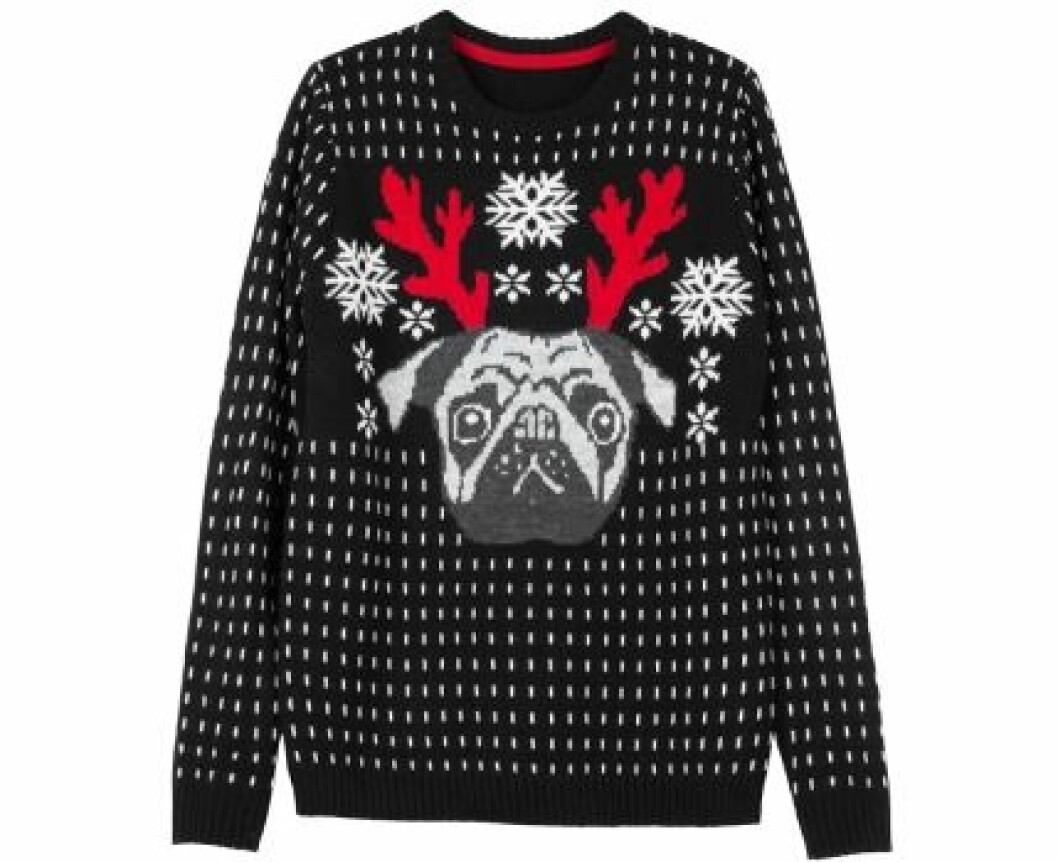 <em>Om denna mjukis kan man säga så här: han vill vara någonting som han inte är</em><br>Stickad tröja, 149 kr, H&M. sweater-hund
