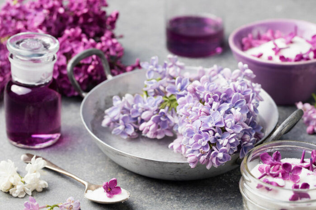 Gör underbart gott syrensocker! Foto: Shutterstock Gör underbart gott syrensocker!