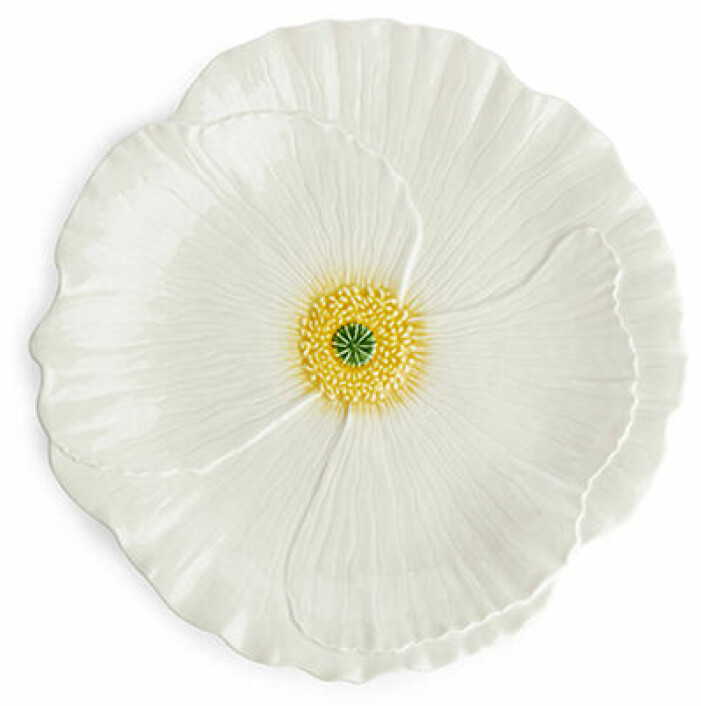 Clicca sull'immagine per andare direttamente al prodotto. Piatto di nozze Idli