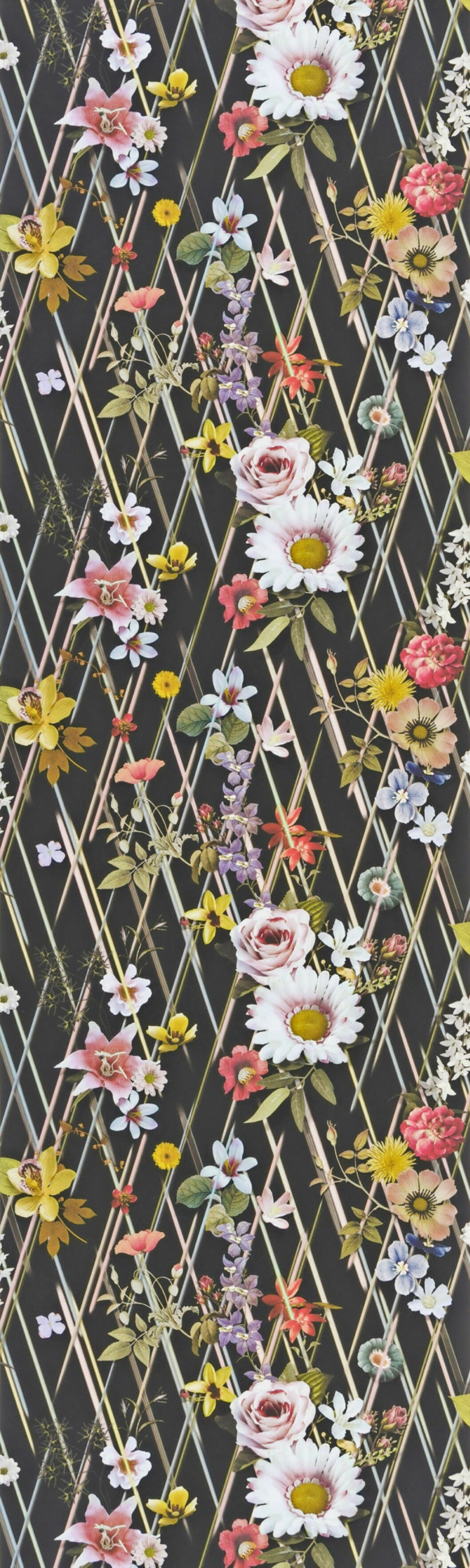 Blommönster mot svart bakgrund. Tapet <em>Rocaille</em> <em>nuit</em>, 895 kr/rulle, Christian Lacroix/Designers Guild. Den blommiga tapeten Rocaille mot svart bakgrund från Designers Guild