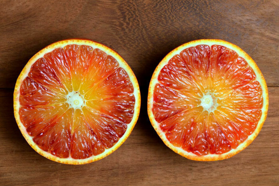 Tarocco – drottningen av citrus. Tarocco – enligt många den godaste apelsinen.