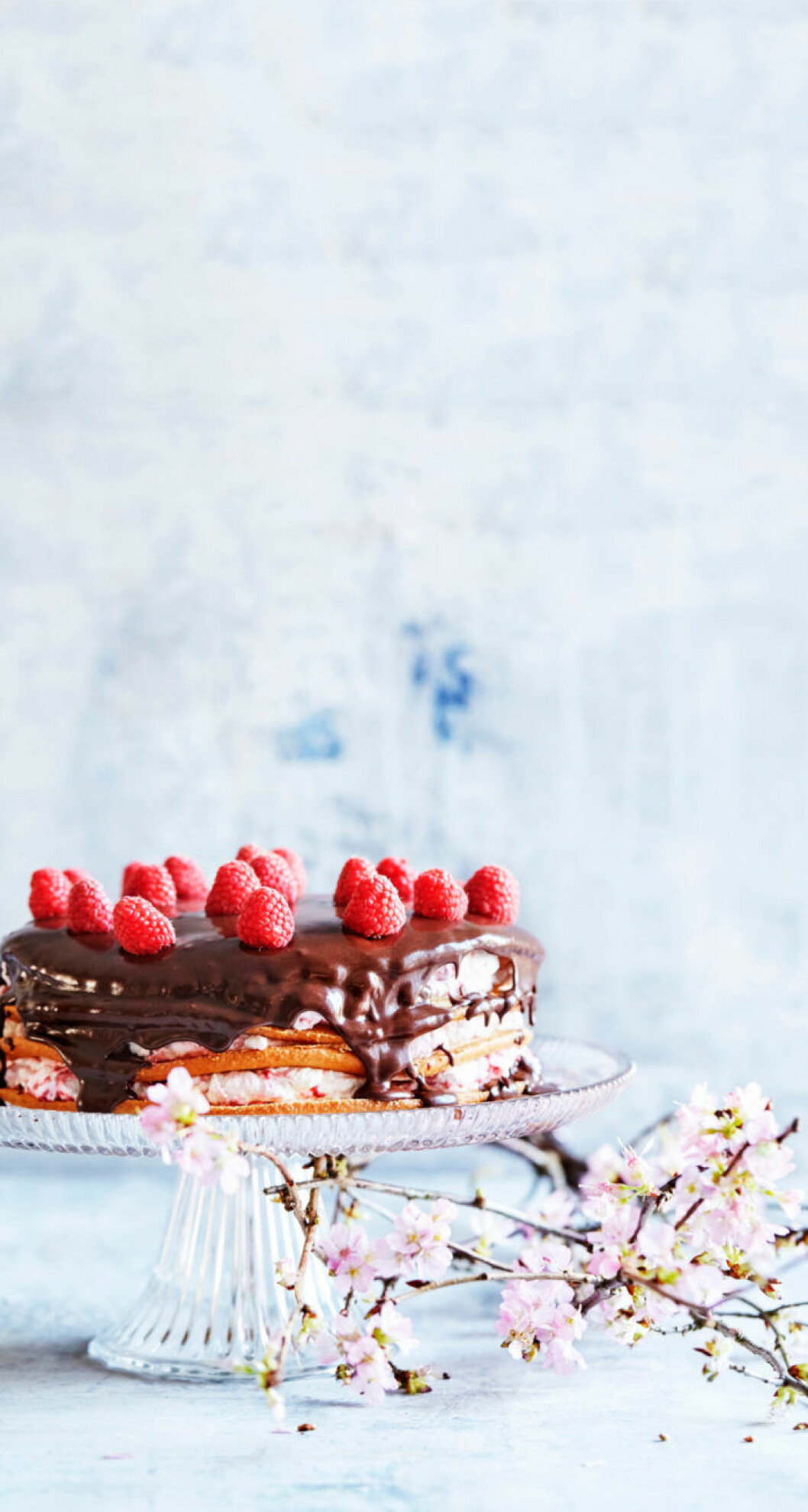 Tårta med hallonskum och choklad