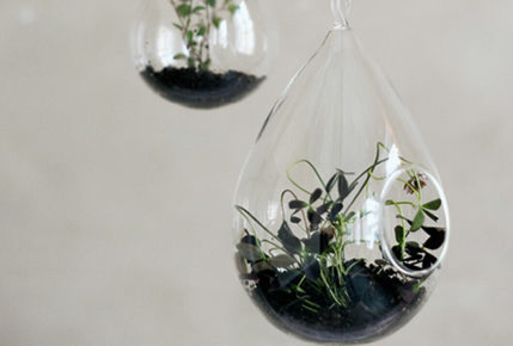 teardrop-vase