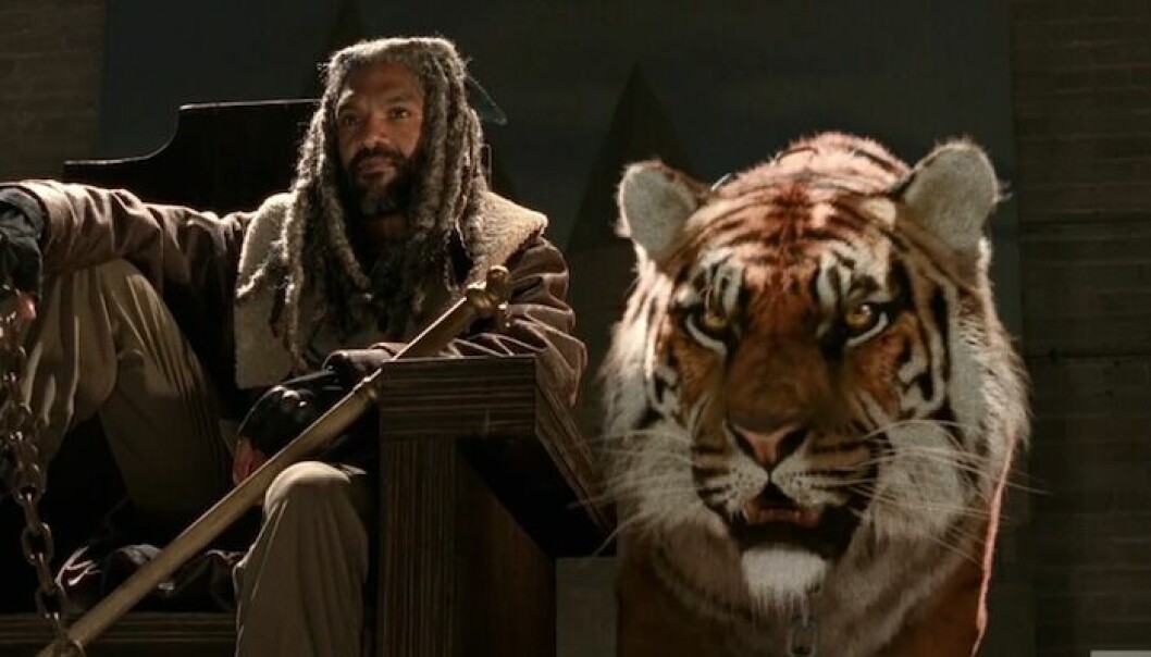 the walking dead
