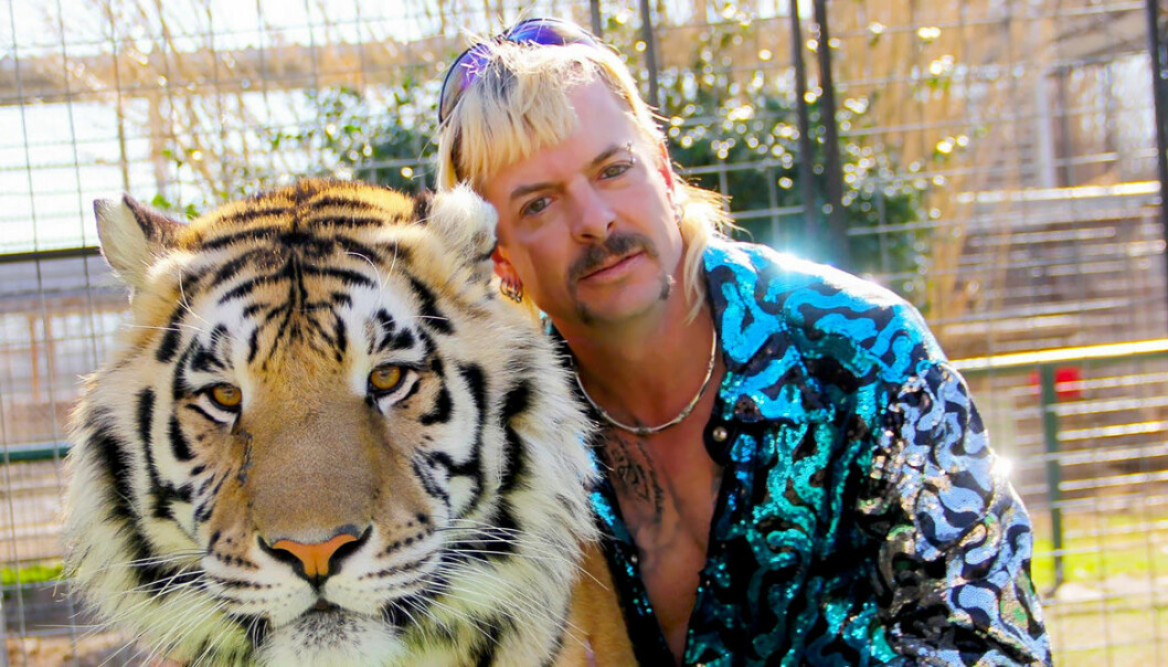 Dplay släpper ny dokumentär om Tiger King – Surviving Joe Exotic