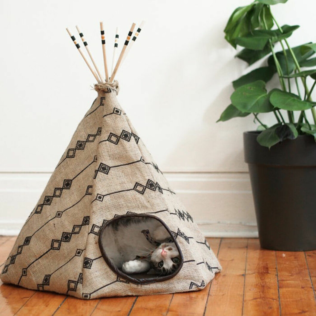 Foto: <a href="http://dentelleetfleurs.com/fr/la-fois-ou-jai-cree-un-tipi-pour-chat-gagnez-le" target="_blank" rel="noopener">Dentelle et Fleurs</a> DIY tipi-tält hund katt