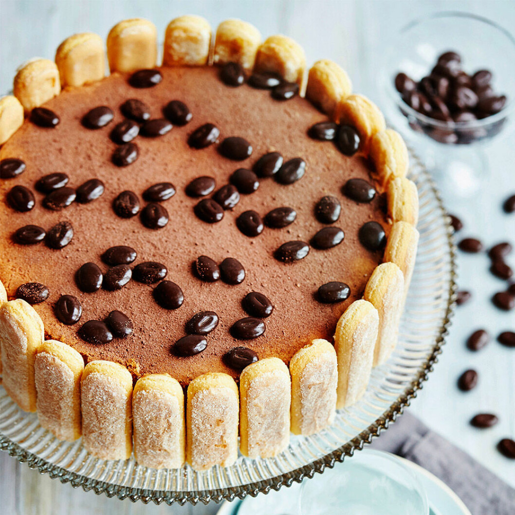 Tiramisu-tårta Charlotte. Tiramisu-tårta Charlotte.