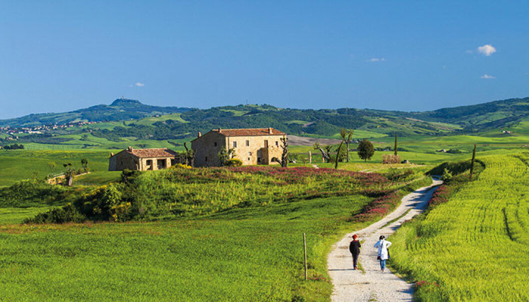 Toscana. Foto: Shutterstock
