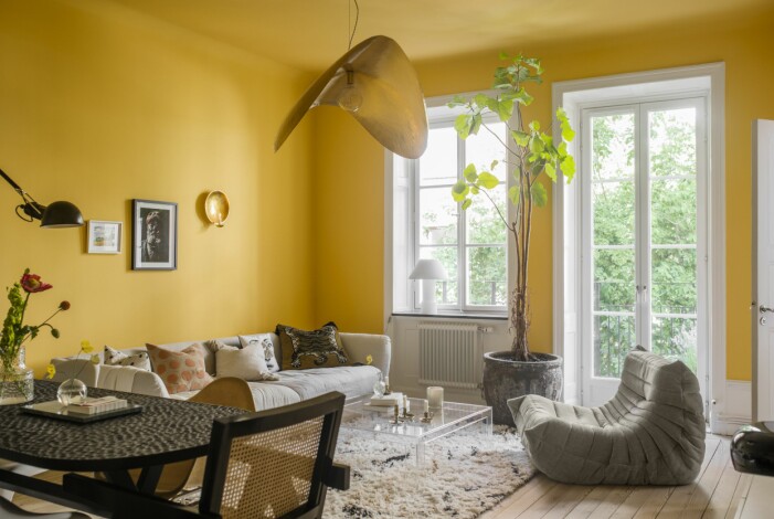 Grönt i storlek större hemma hos Helena Sand. Foto: Lina Östling Stylist: Mari Strenghielm | Syns i: <a href="/decoration/fargstarkt-och-ombonat-hemma-hos-helena-sand/5370277">Färgstarkt och ombonat i gårdshuset på Östermalm</a> stort träd inomhus i inredningen hos Helena Sand