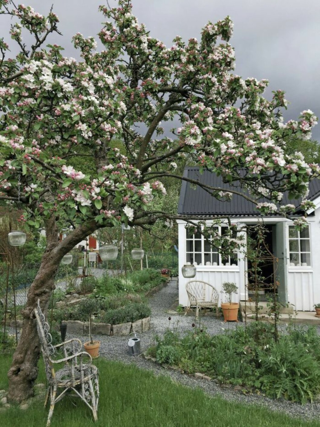 Elin Lannsjös kolonistuga